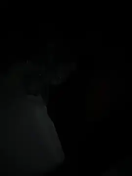 wishuhope4 online show from 05-03-26, 06:52