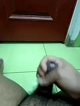 Snapshot of Geminis_95 chatting on 12-02-25, 08:19 Geminis 95 online show from 12-02-25, 08:19