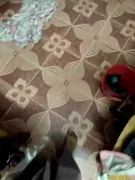 maddy3108 online show from 12-05-25, 06:00