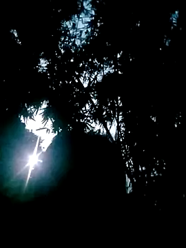 Lisa pusy online show from 10-22-25, 10:42