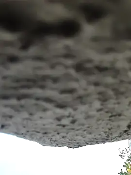 AnanyaKapoor89 online show from 11-09-25, 02:43