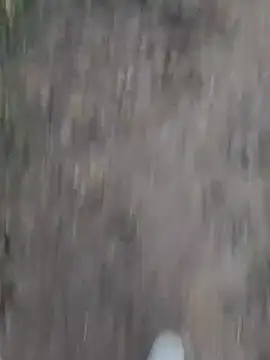 Sonia66w online show from 10-01-25, 12:49