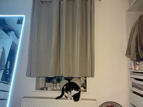 KayleeBella online show from 12-03-25, 09:24