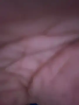 stevo170t online show from 10-14-25, 11:44