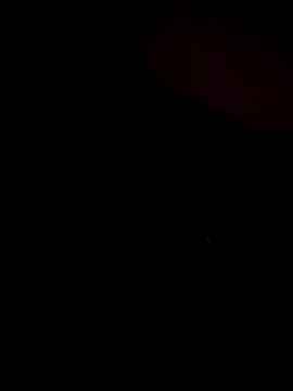 stevo170t online show from 11-13-25, 07:40