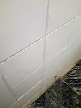 Snapshot of kelvinjesus34 chatting on 10-19-25, 06:36 kelvinjesus34 online show from 10-19-25, 06:36