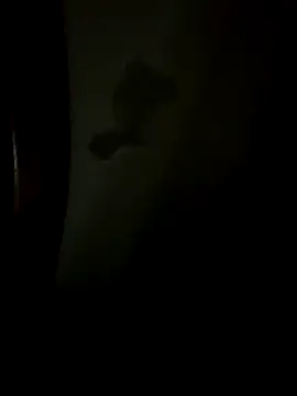 Snapshot of Bruno18cmmmmkk chatting on 12-19-25, 03:46 Bruno18cmmmmkk online show from 12-19-25, 03:46