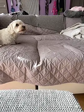 bananasex204 online show from 10-25-25, 12:02