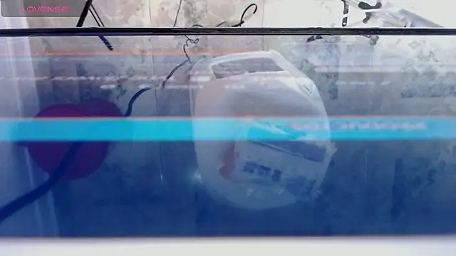 andrealopezcm101 online show from 12-15-25, 12:15