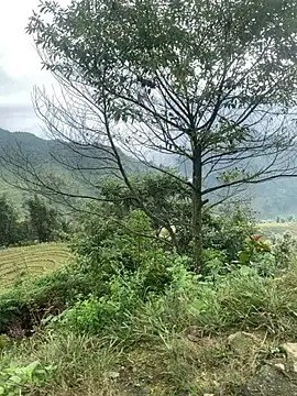 O o UwU o O online show from 11-06-25, 02:01