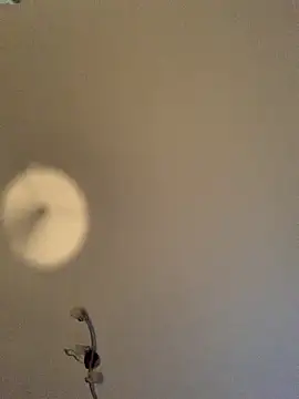 GeilerHSVFAN1989 online show from 11-11-25, 04:12