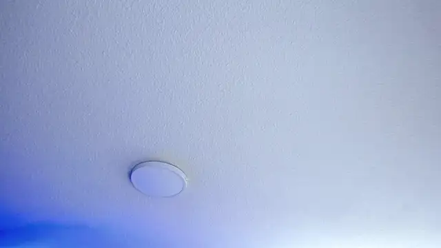  Charlotte Collins  online show from 07-23-26, 04:16