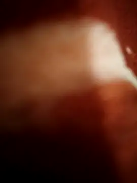 Snapshot of sexy__girls98 chatting on 11-08-25, 11:47 sexy girls98 online show from 11-08-25, 11:47