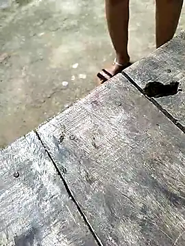 Snapshot of sexy__girls98 chatting on 12-03-25, 05:48 sexy girls98 online show from 12-03-25, 05:48