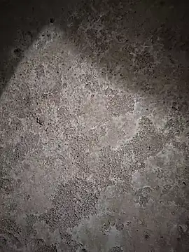 Snapshot of sexy__girls98 chatting on 02-06-26, 11:46 sexy girls98 online show from 02-06-26, 11:46