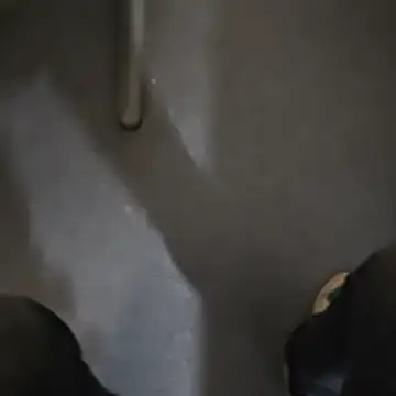 stunning stallion online show from 10-23-25, 09:35