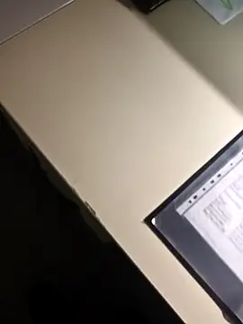 stunning stallion online show from 02-02-26, 09:46