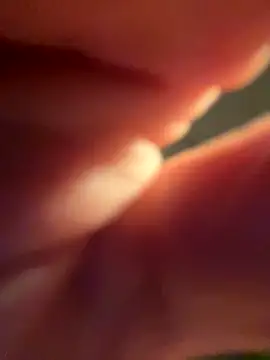 Snapshot of SinisterMads chatting on 10-22-25, 01:28 SinisterMads online show from 10-22-25, 01:28