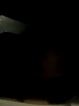 ditzycryztal online show from 10-17-25, 10:07