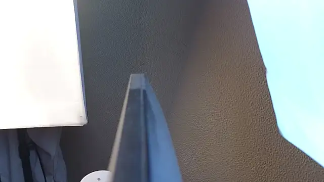 Vina Vision online show from 11-30-25, 11:58