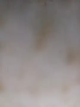 Payal950 online show from 10-05-25, 12:53