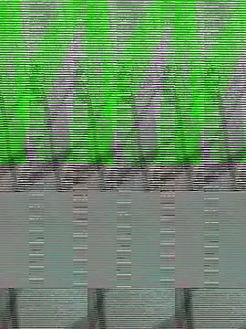 Payal950 online show from 10-22-25, 01:33