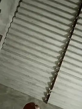 Payal950 online show from 11-13-25, 03:22