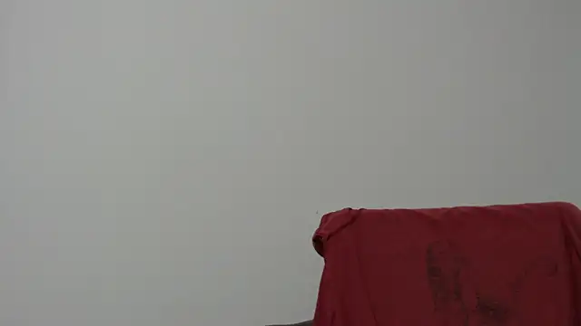 Rocky Muscle online show from 02-05-26, 04:50