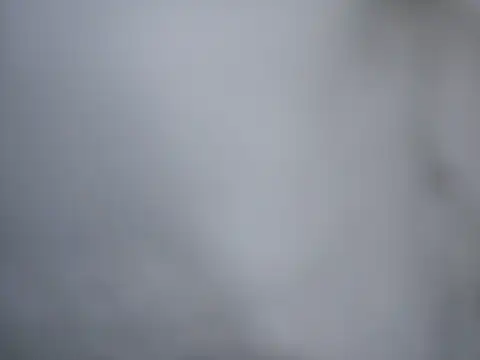 Ricotta1 online show from 12-22-25, 07:49