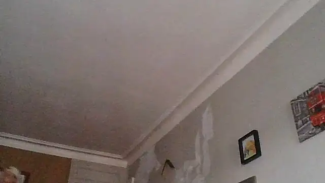 Snapshot of Titilouonlyf69 chatting on 07-23-26, 07:01 Titilouonlyf69 online show from 07-23-26, 07:01