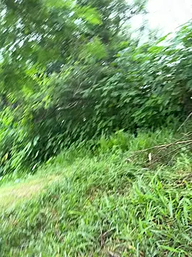 Snapshot of magraocam chatting on 03-19-26, 02:21 magraocam online show from 03-19-26, 02:21