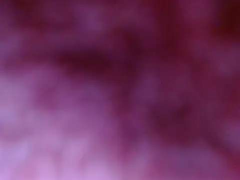 Your candy 47 online show from 09-17-25, 01:24