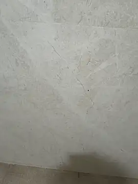 bigdick lickingexpert08 online show from 03-07-26, 07:11