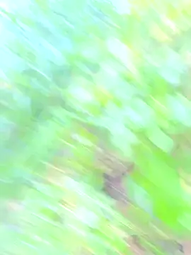 Andy-Alex2002 online show from 09-14-25, 06:45