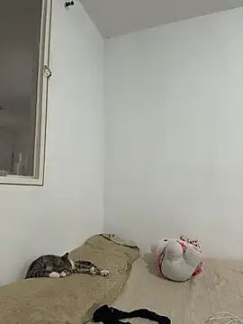 aliciia 23 online show from 11-28-25, 08:11