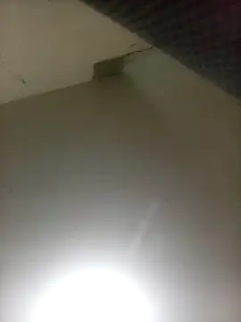 Bebicho14 online show from 04-07-26, 02:56