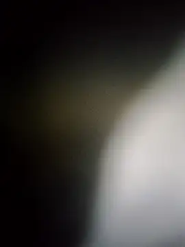 Rk3BULL online show from 03-26-26, 11:43