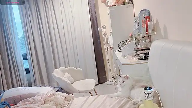 jiajia 0902 online show from 03-19-26, 09:46