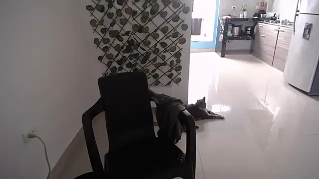 Snapshot of yohacriss chatting on 12-16-25, 08:36 yohacriss online show from 12-16-25, 08:36