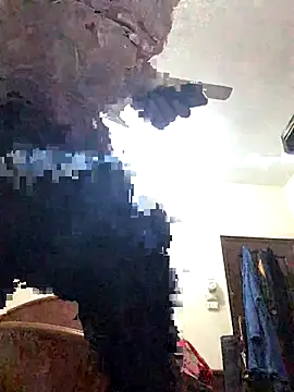 Snapshot of FlungBergenia chatting on 12-21-25, 06:04 FlungBergenia online show from 12-21-25, 06:04