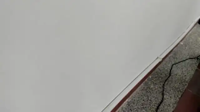 michelle perla online show from 01-15-26, 07:06