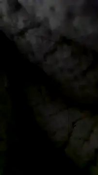 Snapshot of LanaAce719 chatting on 10-13-25, 07:41 LanaAce719 online show from 10-13-25, 07:41