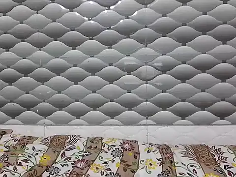 Jashika sharma online show from 02-11-26, 10:31