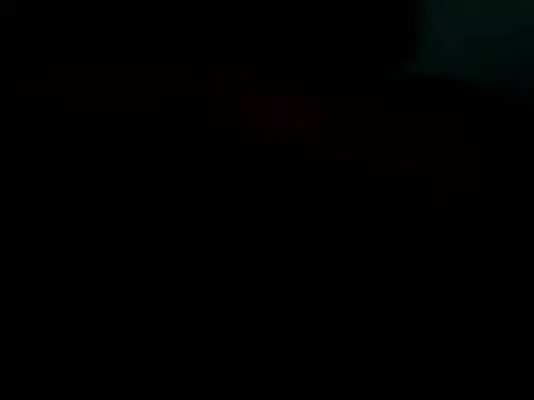 dogslavehf online show from 04-26-26, 02:59