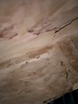 Sexy hot66 online show from 09-16-25, 12:55