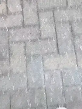 boxerundsocken91 online show from 03-09-26, 05:17