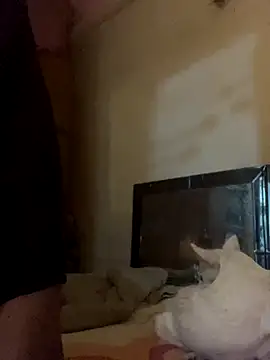 Kajal-Shemale69 online show from 11-17-25, 07:36