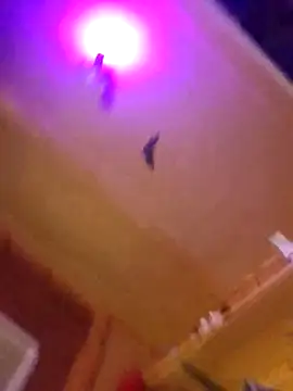 Snapshot of Dirty_D187 chatting on 10-10-25, 05:50 Dirty D187 online show from 10-10-25, 05:50