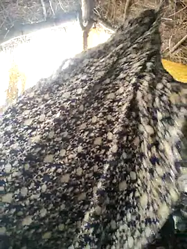 LUCKY cut online show from 10-20-25, 03:07