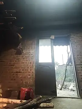 siki-00 online show from 01-12-26, 11:43